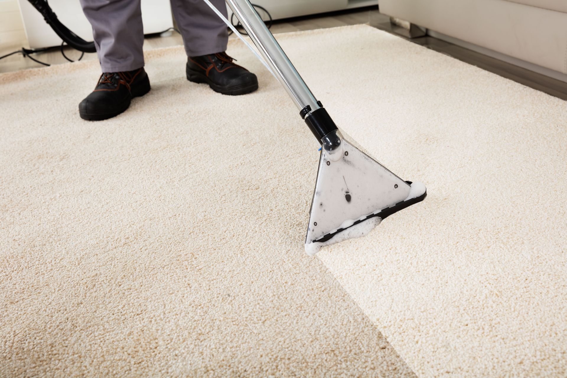 Commercial carpet maintenance service